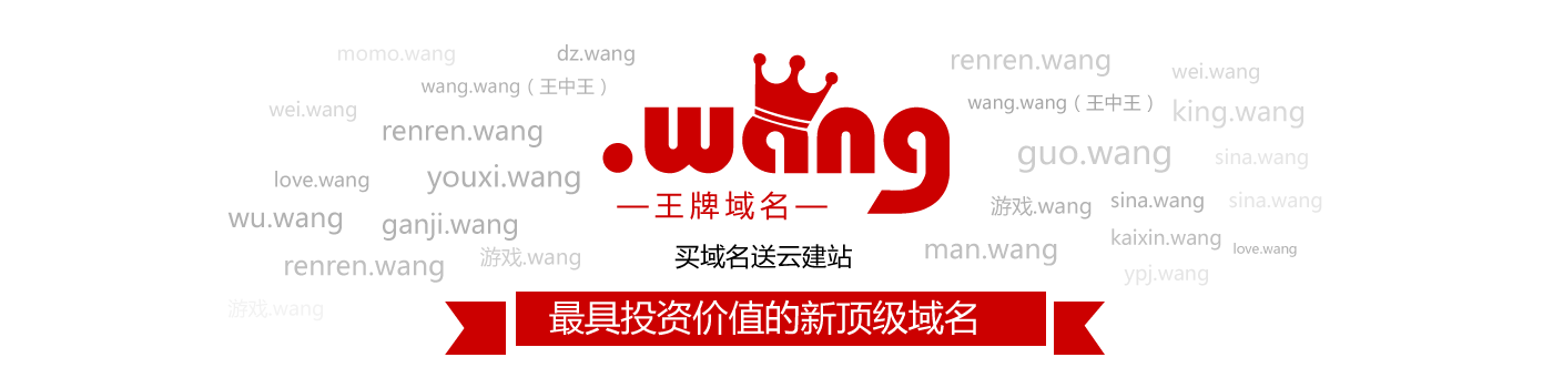 wang����ע��
